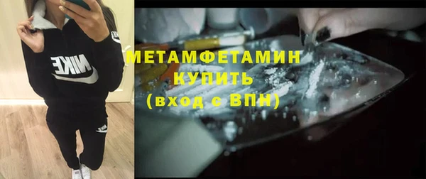 индика Кадников