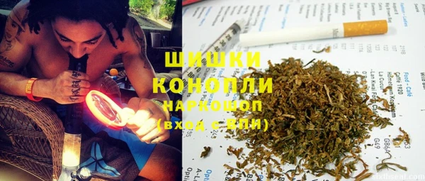 сатива Балахна