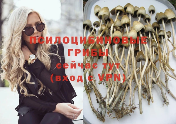 mdpv Баксан