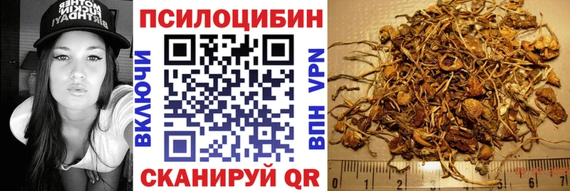 Псилоцибиновые грибы прущие грибы OMG вход Купино